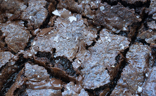 Brownies (GF)
